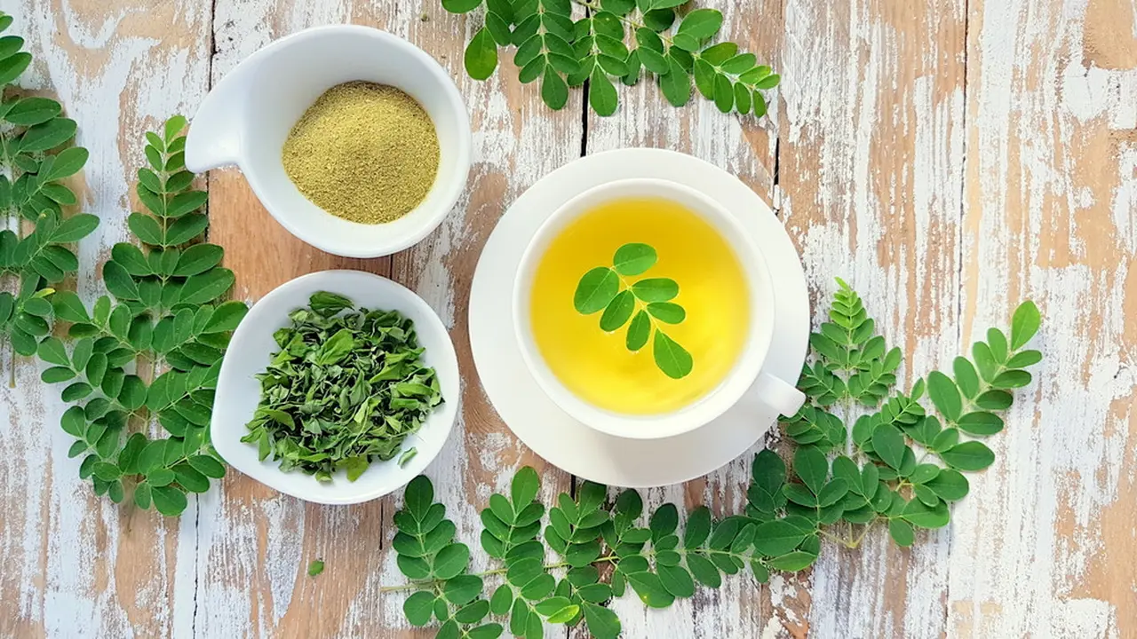 teh daun kelor herbal