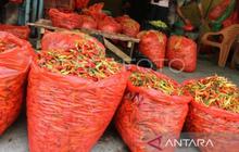 Biang Kerok Harga Cabai Rawit Meroket, Bapanas Bilang Produksi Cukup Masalahnya Dipetik