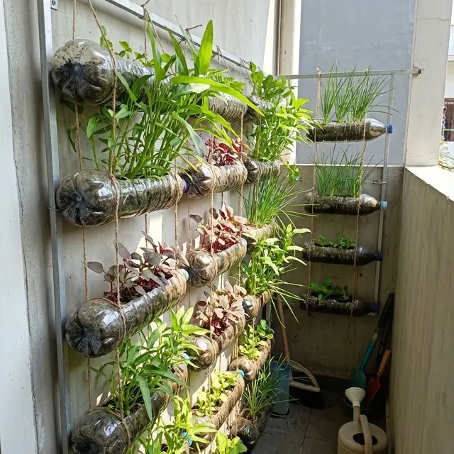 Kebun Sayur Mini Vertikal di Balkon Sempit