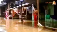 [VIDEO] Rumah Terendam, Warga Banyuasin Tak Mau Mengungsi