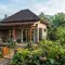 9 Inspirasi Rumah Kampung Kecil tapi Terlihat Mewah dan Sejuk, Asri Memesona