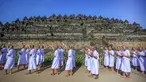 Para calon biksu bermeditasi sambil berjalan tanpa alas kaki dalam ritual 'Pabbaja Samanera', di kawasan Candi Borobudur, Magelang, Jawa Tengah, 19 Desember 2023. (DEVI RAHMAN/AFP)