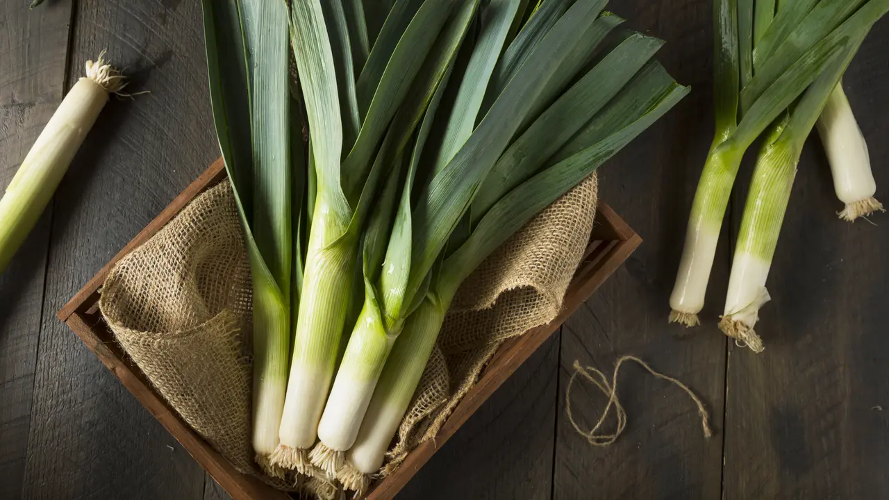 Daun Bawang