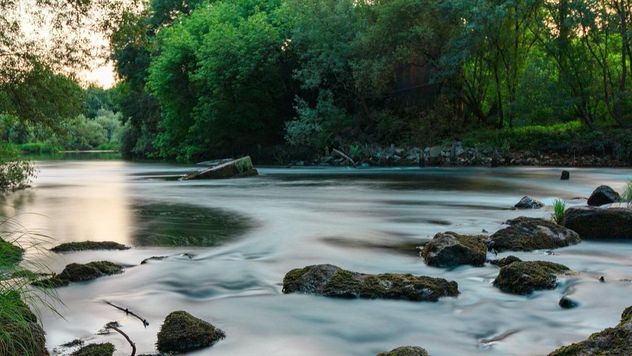 1. Welo River