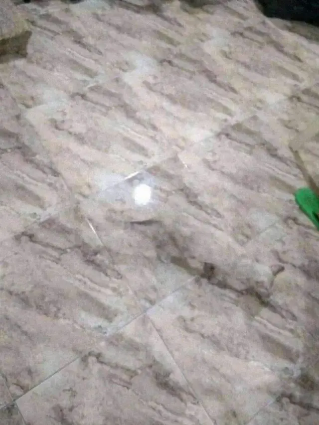 Potret Kamuflase Alami yang Tak Sengaja Terjadi, Bikin Bingung. (Sumber: Boredpanda)