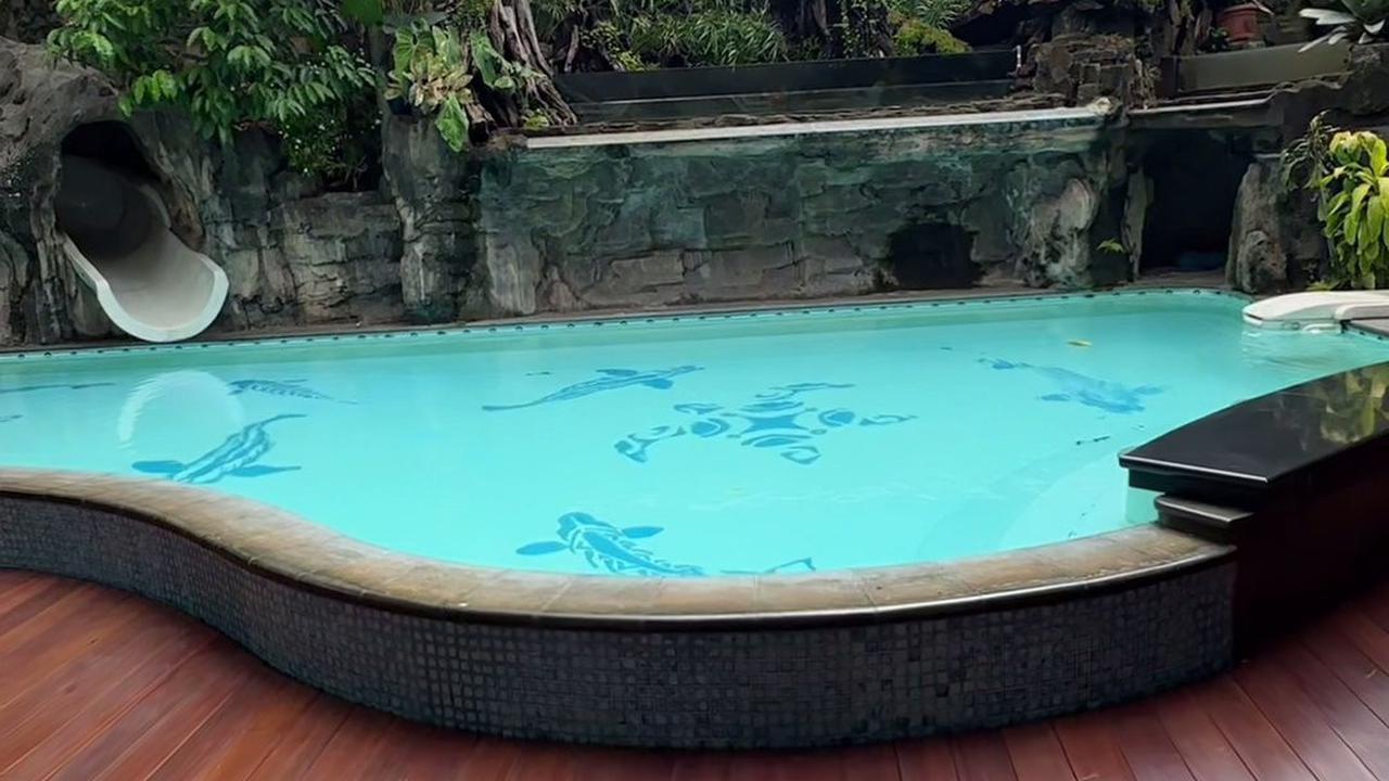 8 Potret Paludarium Raksasa di Rumah Denny Cagur yang Megah, Pemandangan Indah - Ditaksir Berharga Fantastis