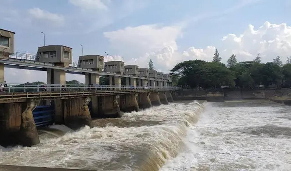12 Rekomendasi Spot Mancing Nyaman 2025 di Kediri, Cocok Buat Pemancing Pemula &amp; Pro