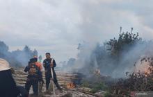 Karhutla Musim Hujan Landa Aceh, Riau, dan Kalteng: BNPB Imbau Waspada