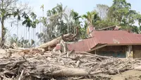 Satgas PRR Percepat Pemanfaatan Kayu Hanyutan untuk Rehabilitasi Pascabencana