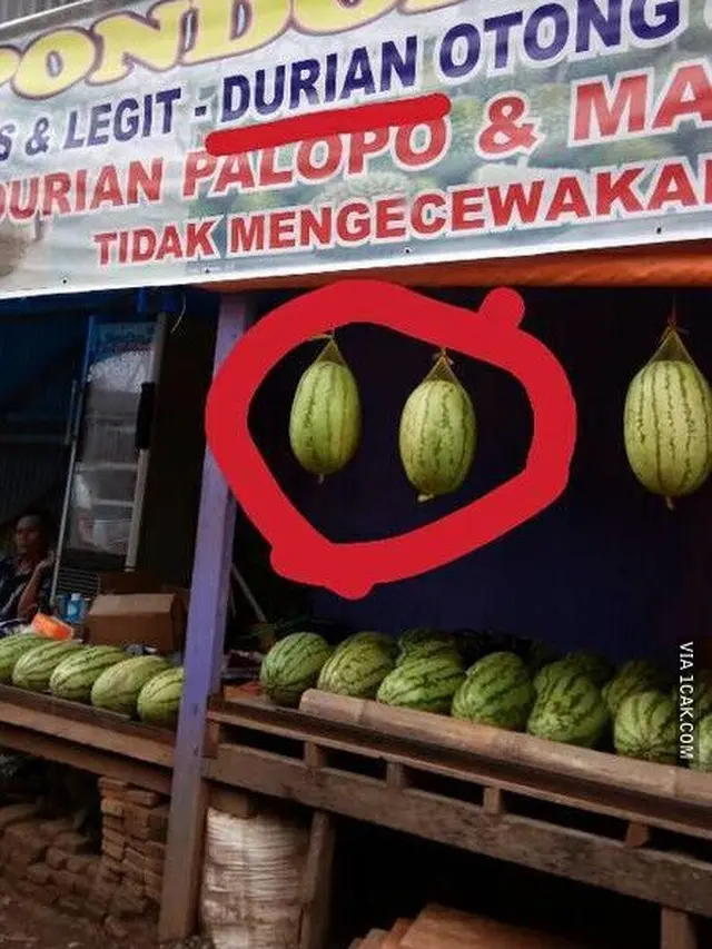 6 Cara Promosi Penjual Semangka Ini Nyeleneh, Bikin Pembeli Melongo