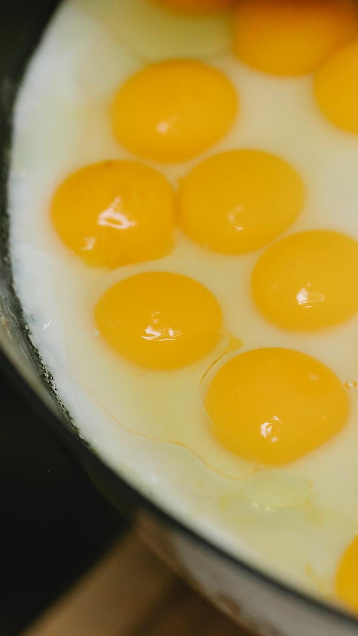 1. Telur