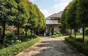 8 Cara Membuat Jalan Masuk Rumah Lebih Teduh dengan Dua Baris Pohon, Bikin Fasad Lebih Menawan