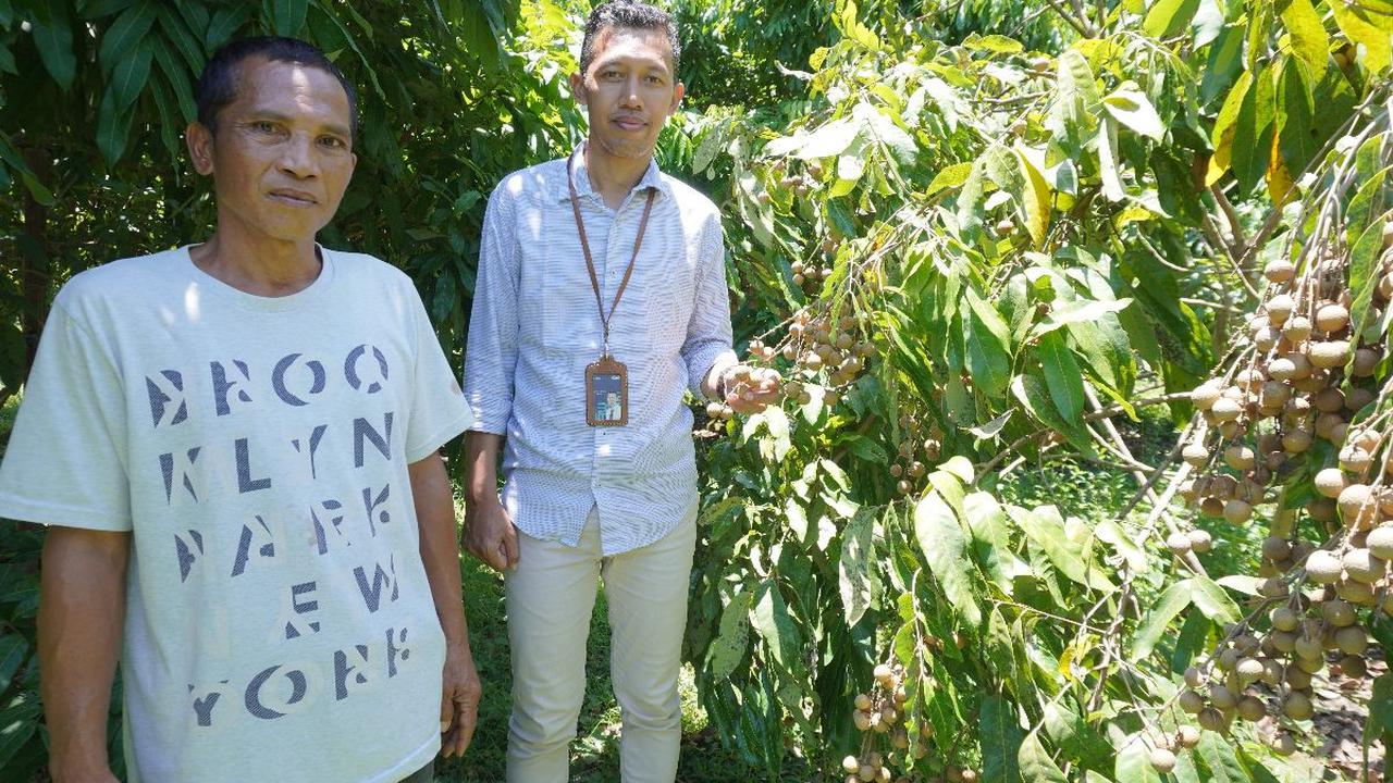 Kolaborasi Jadi Kunci