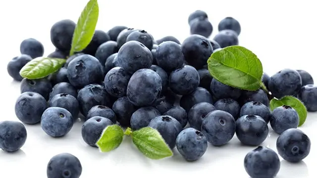 Photo: Copyright Thinkstockphotos.com 