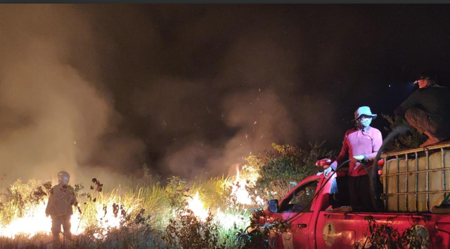 Selidiki Kemungkinan Hewan Terbakar