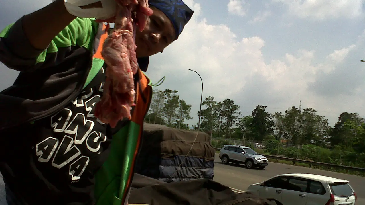 Daging Celeng