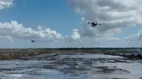 Menguji Kecanggihan Drone Sawah, Pangkas Bertani Seharian Jadi 8 Menit