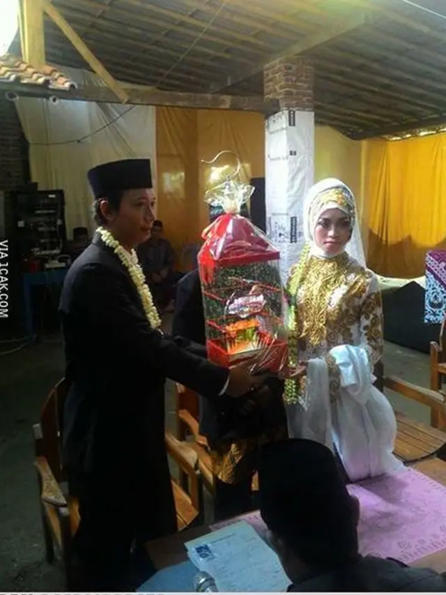 6 Mahar Nikah Pecinta Binatang Ini Unik, Ikan Cupang Hingga Burung Lovebird