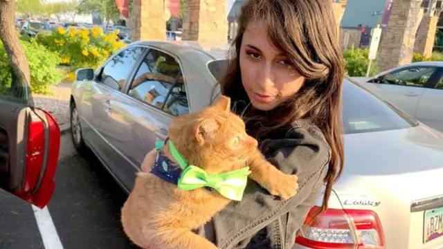 Seperti Melotot, Kucing Oranye Ini Malah Viral di Medsos