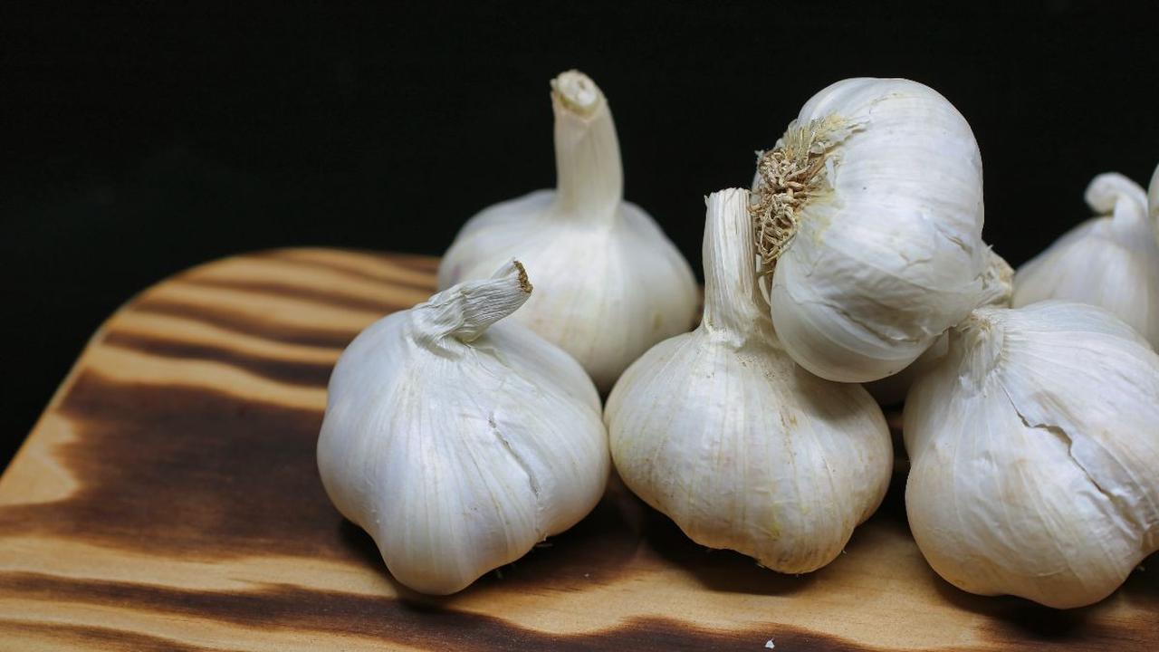Bawang Putih