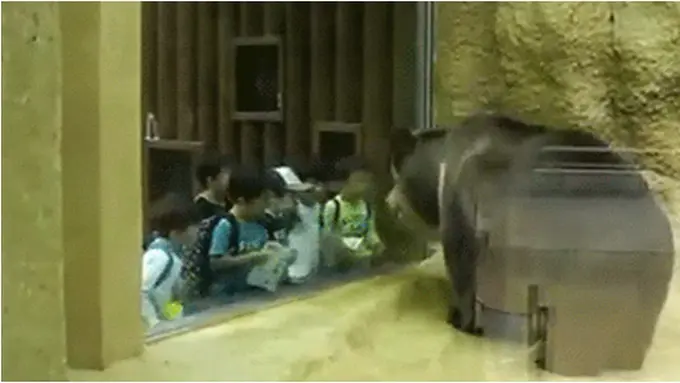 Photo copyright Rocketnews24.com