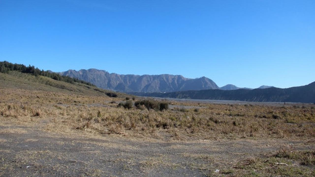 Memanjakan mata menikmati keindahan bukit 'Teletubbies' di Bromo