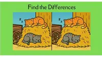 Temukan 3 perbedaan kucing tidur siang di tumpukan jerami. (sumber Captain Brain via Jagranjosh)