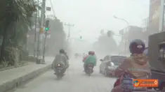 liputan6