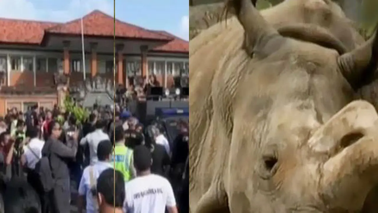Sidang Praperadilan Margriet hingga Badak Langka di Ceko Mati 