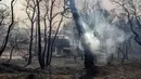 Api cepat menyebar dikarenakan angin yang cukup kencang antara 50 hingga 60 Km/jam hingga menyasar kepemukiman penduduk. (AP Photo/Petros Giannakouris)