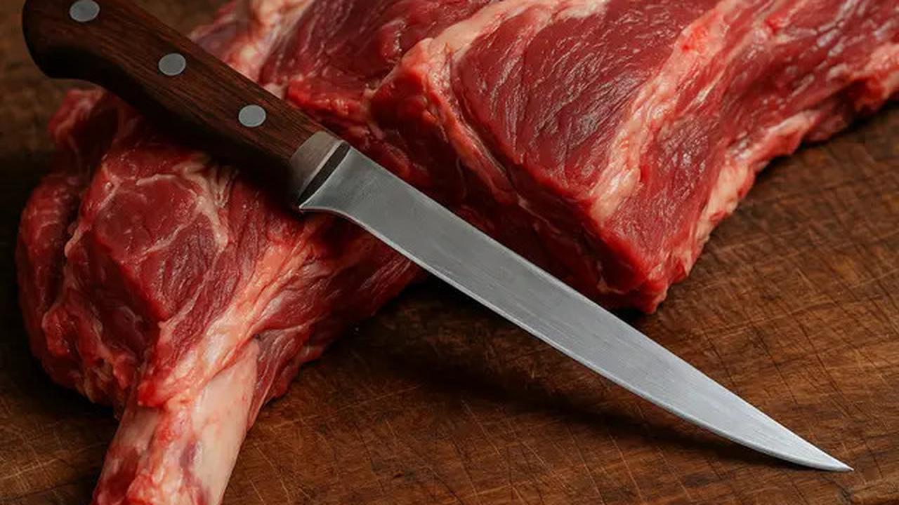 6 Rekomendasi Pisau untuk Memotong Daging Kurban, Tajam dan Nyaman Digunakan