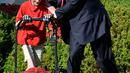 Presiden AS, Donald Trump membantu Frank Giaccio mendorong mesin pemotong rumput di Rose Garden, Gedung Putih, Jumat (15/9). Dalam suratnya, bocah 11 tahun itu menulis bahwa ini adalah kehormatan baginya memotong rumput Gedung Putih. (Mike Theiler/AFP)