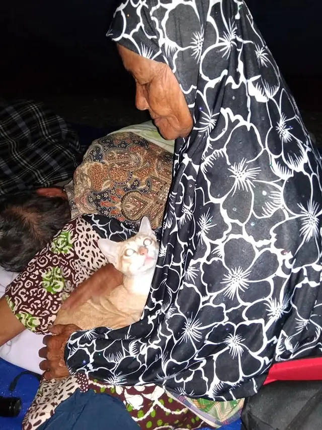 Selamatkan Kucing di Tengah Gempa, Aksi Pengungsi Ini Banjir Doa dan Pujian dari Warganet