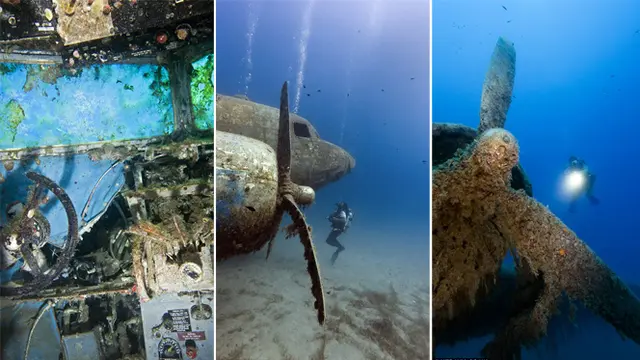 Melihat Tempat Bermain Bawah Laut dari Pesawat Perang Dunia Dua
