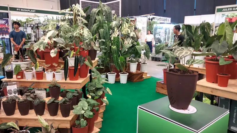 Tanaman hias di Floriculture Indonesia International Expo 2023