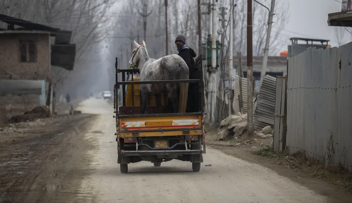 Seorang pria Kashmir mengangkut seekor kuda dengan pengangkut muatan pada hari yang dingin di pinggiran Srinagar, Kashmir yang dikuasai India, Senin (27/12/2021). (AP Photo/Mukhtar Khan)