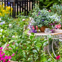 Rekomendasi mengatur taman yang sempit./copyright depositphotos/Julietart