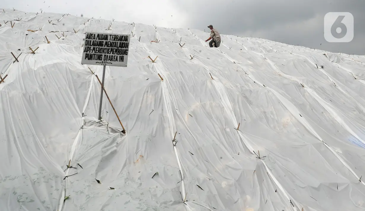 Pemulung melewati gunungan sampah yang ditutupi plastik besar di Tempat Pembuangan Akhir (TPA) Cipayung, Depok, Jawa Barat, Selasa (21/1/2020). Pemasangan plastik tersebut dilakukan sejak kemarin untuk mengurangi bau tak sedap di musim hujan sekaligus mengurai sampah. (merdeka.com/Arie Basuki)