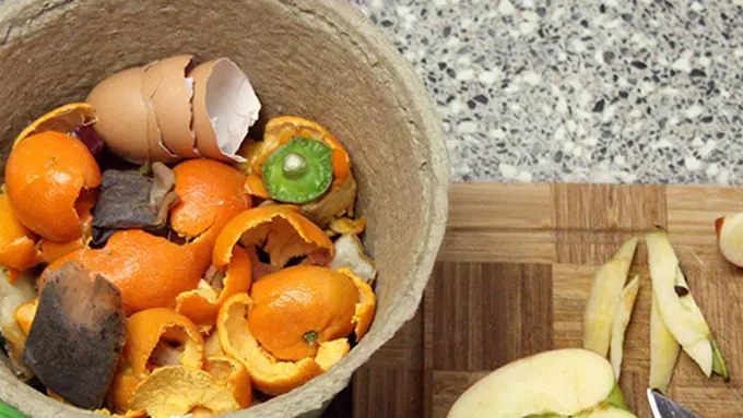 Foto: copyright thiswestcoastmommy