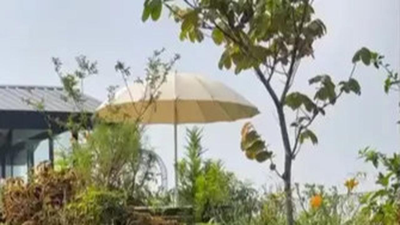 Gaya Casual-Date Ariel Tatum dan Daffa Wardhana di Akhir Pekan, Jajan Cuanki hingga Rebahan di Taman