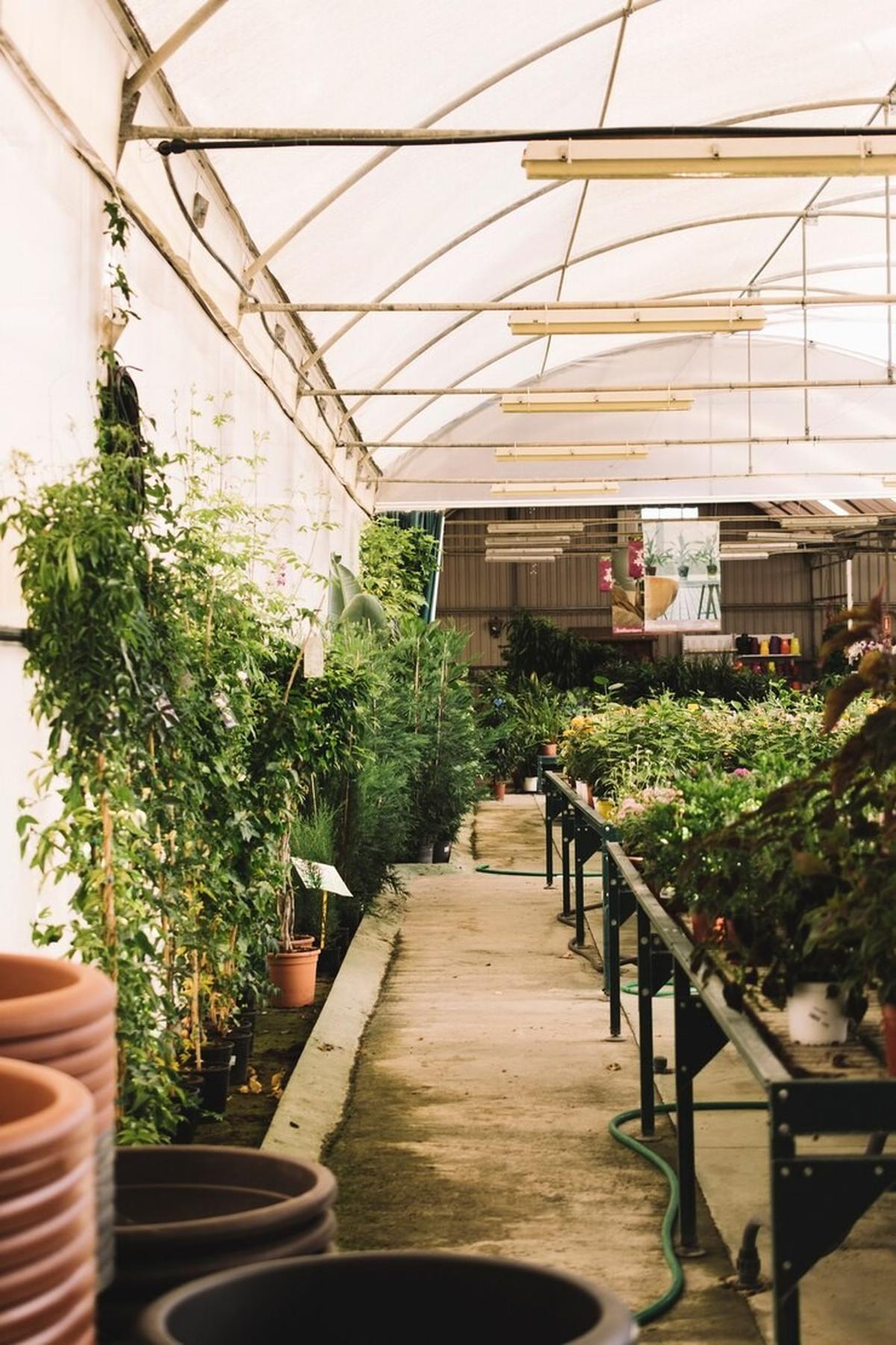 Ilustrasi Rooftop Garden