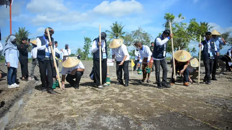 Menteri PUPR Basuki Hadimuljono memimpin dimulainya penanaman sorgum di area sabuk hijau Bendungan Batujai, Lombok Tengah, Nusa Tenggara Barat (NTB). (Dok Kementerian PUPR)