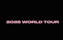 YG Entertainment Umumkan Rencana Gelar Tur Dunia 2025, Disambut Antusias Fans