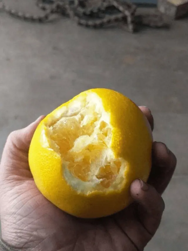 6 Cara Makan Jeruk Ini Nyeleneh Banget, Bikin Geleng Kepala
