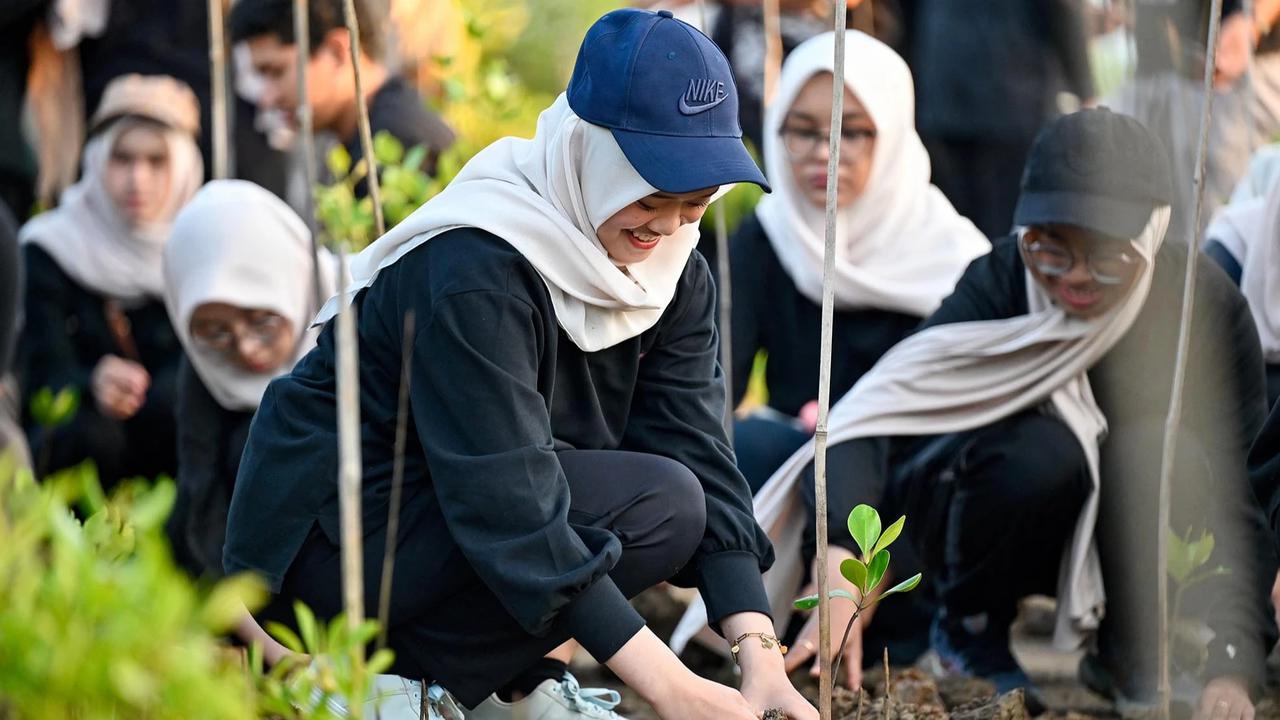 FOTO: Anak Muda Aceh Tanam Mangrove untuk Perkuat Ekosistem Pesisir