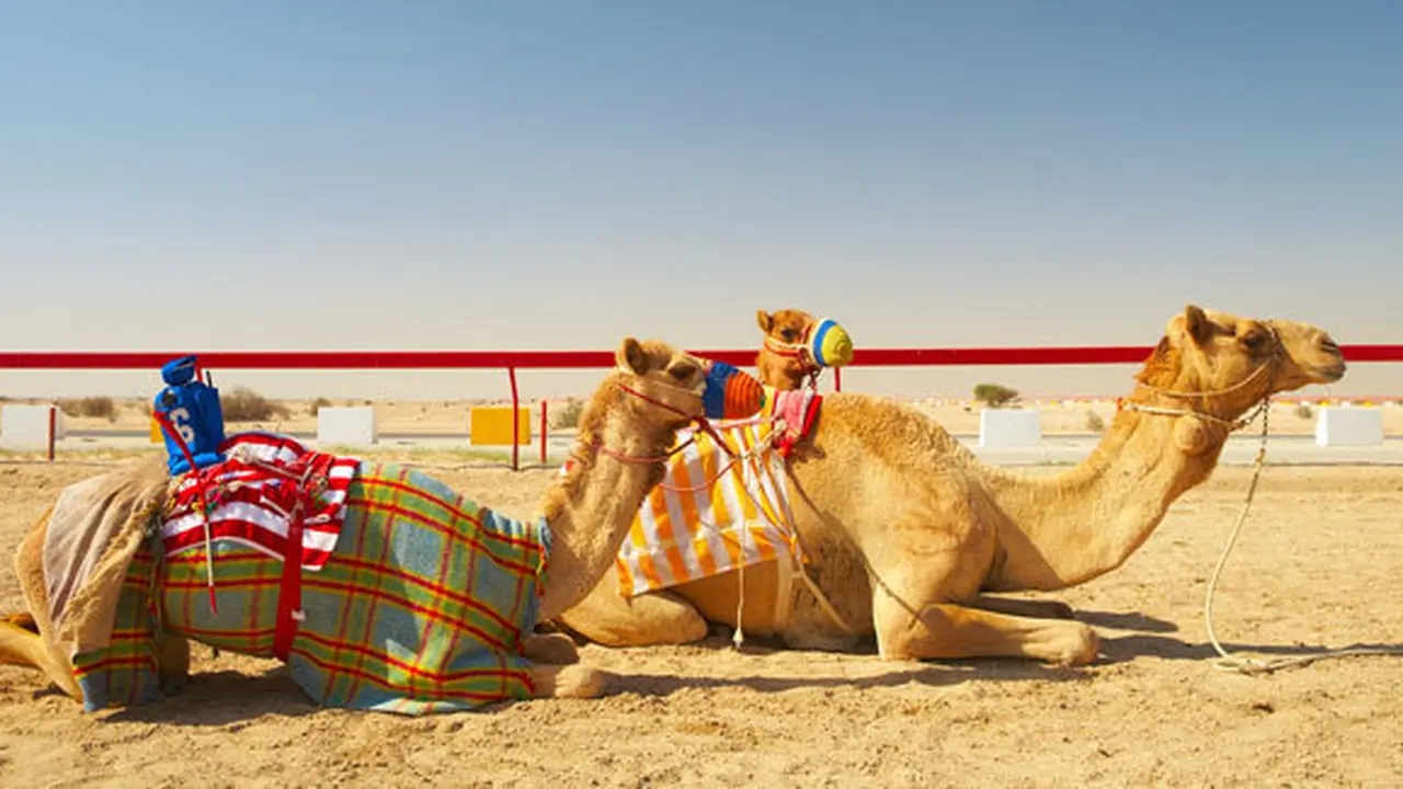 Courtesy ShutterStock.com