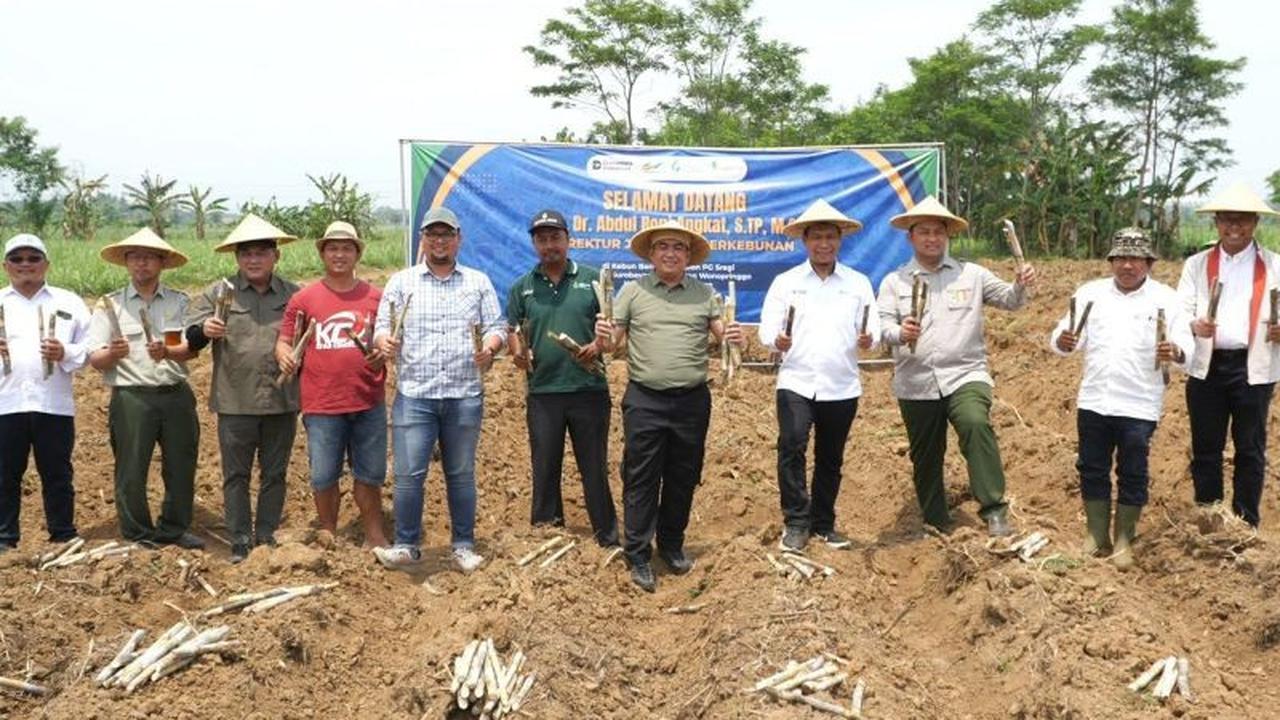 Kementan Tinjau Kebun SGN, Bongkar Ratoon Jadi Kunci Pengawasan Distribusi Gula Nasional