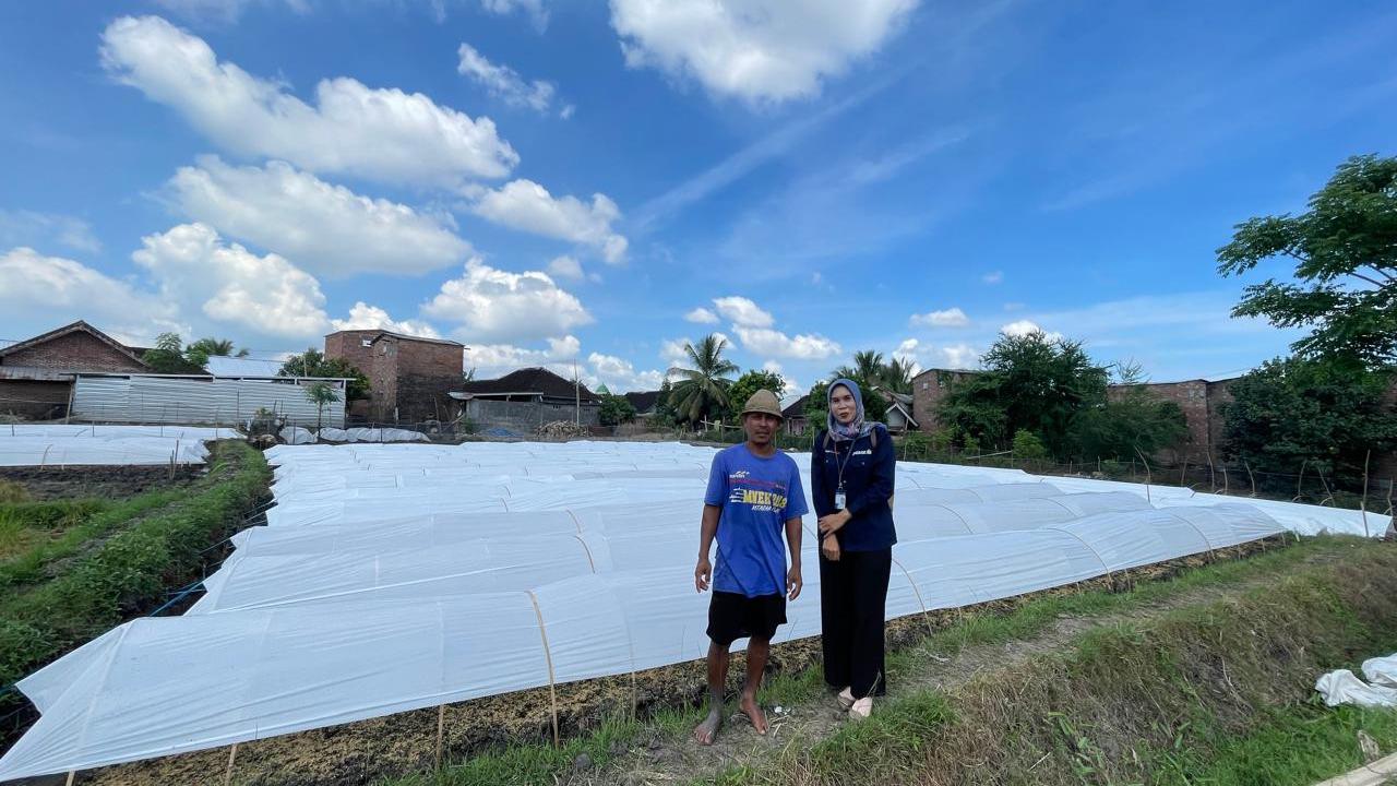 Perempuan Penggerak Desa, Cerita Mantri BRI di Lombok yang Berdayakan Ekonomi Masyarakat Sekitar