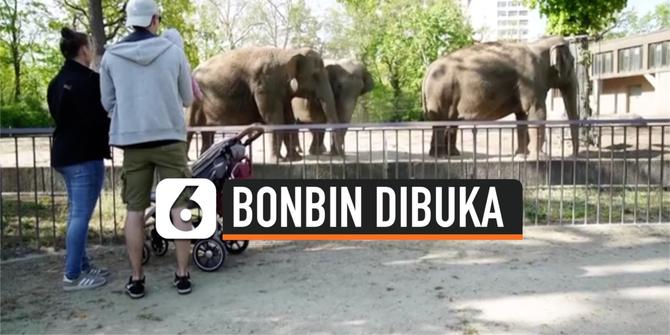 VIDEO: Imbas Corona, Kebun Binatang di Berlin Kembali Dibuka