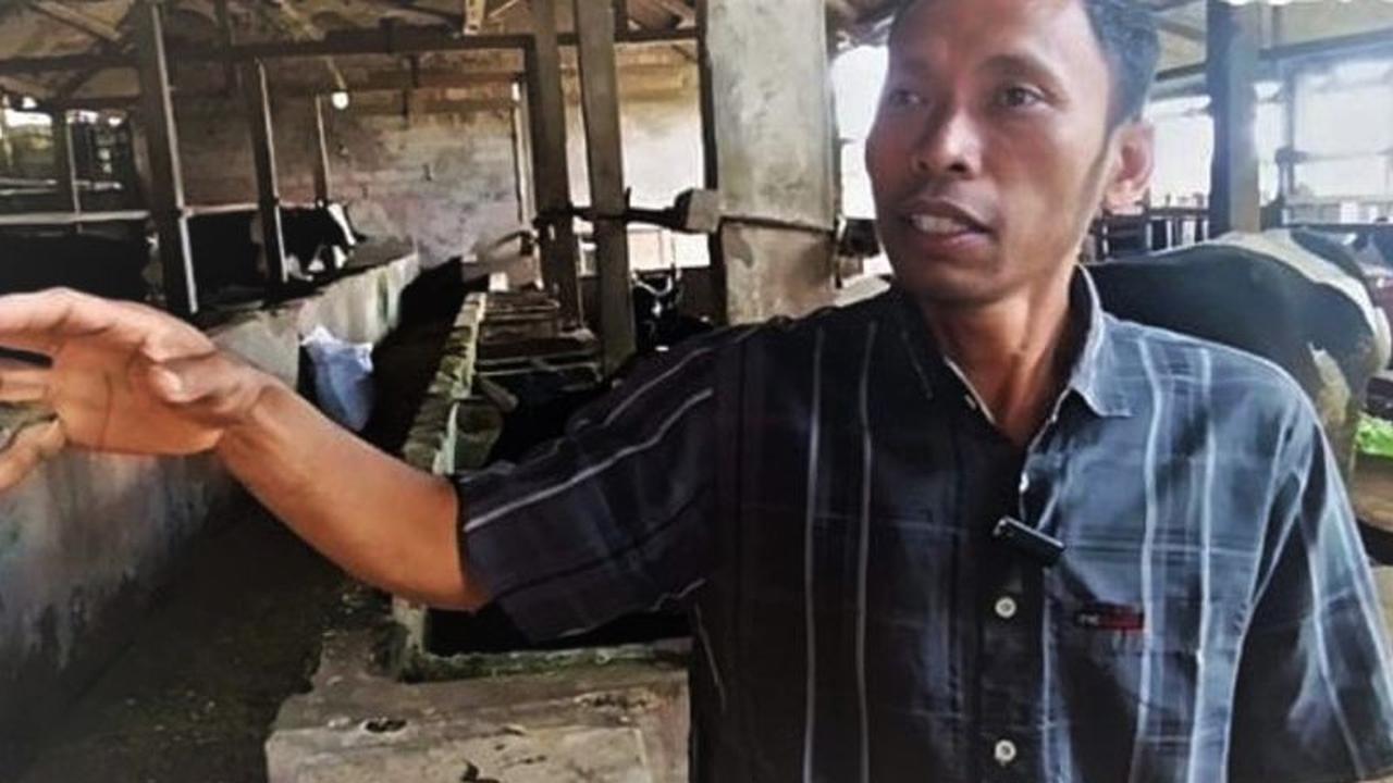 Inovasi Peternak Magetan: Ubah Kotoran Sapi Jadi Biogas untuk Energi dan Pupuk Organik